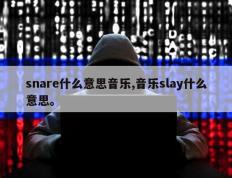 snare什么意思音乐,音乐slay什么意思。