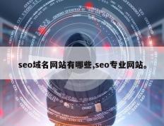 seo域名网站有哪些,seo专业网站。